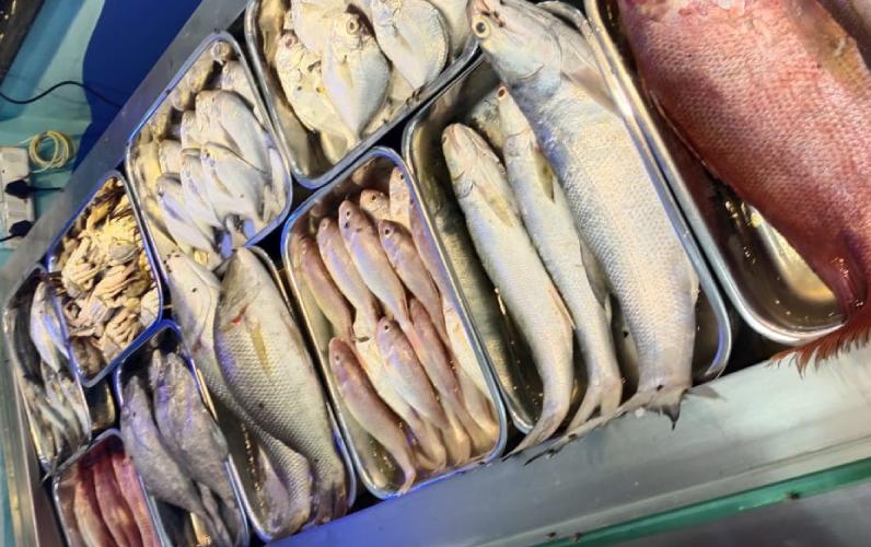 Fish Stall Franchise