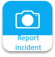 Report