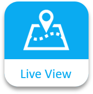 live view